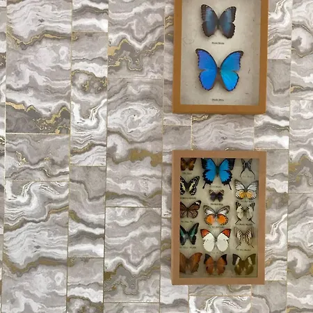 Edificio Con Vistas En + Wifi * Elantxobe