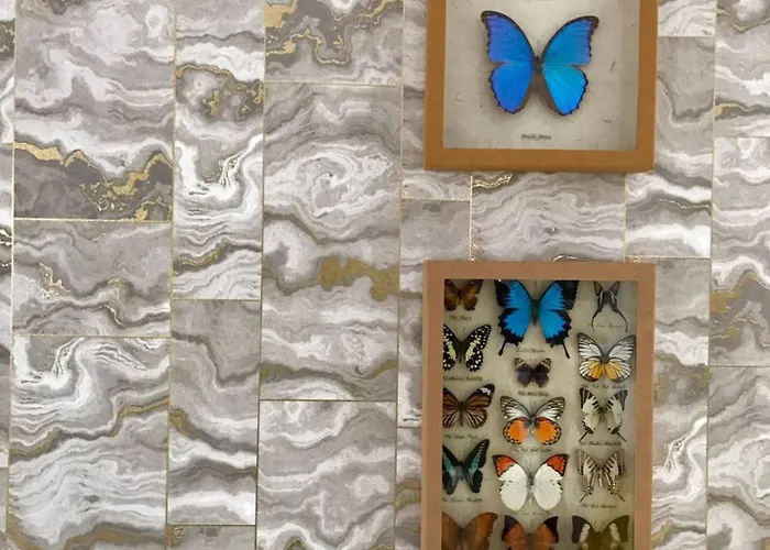 Edificio Con Vistas En + Wifi * Elantxobe